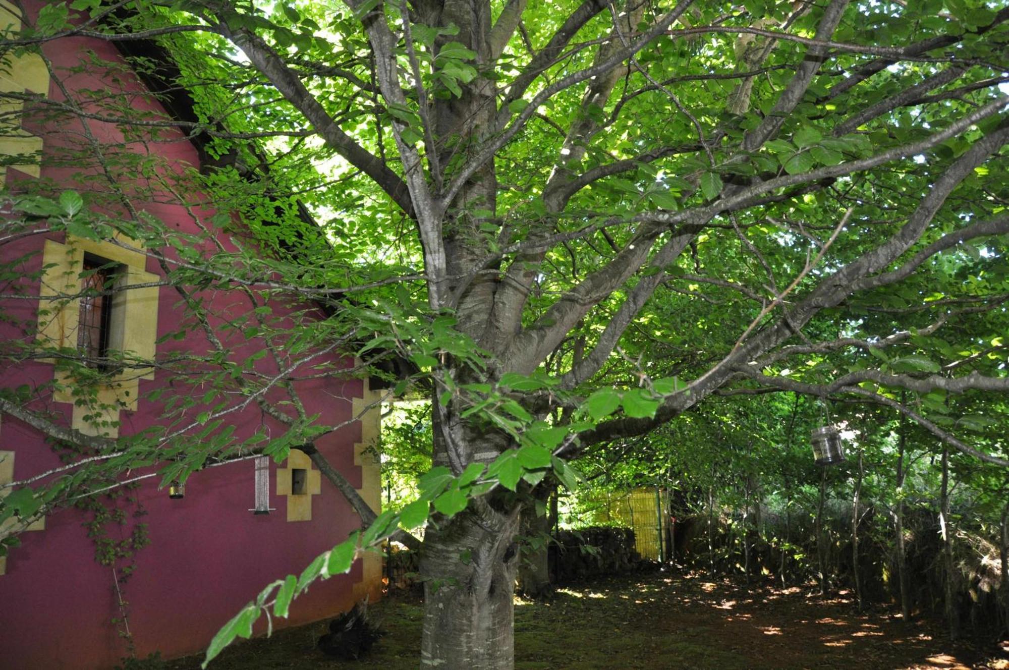 Apartamentos Arcadia Orena Exterior photo